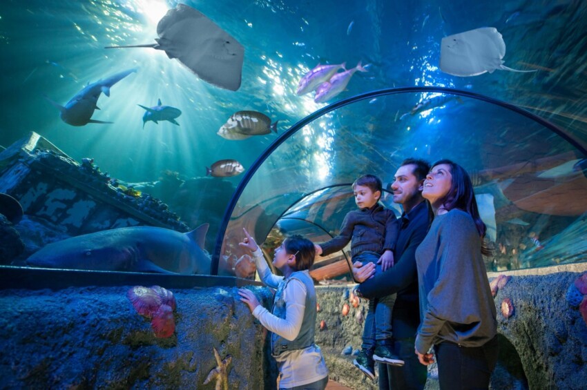 Acuario Gardaland Sea Life