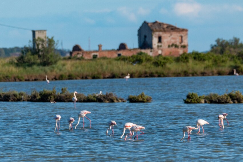 Delta du Pô