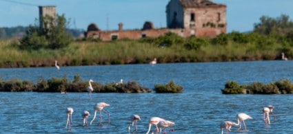 Delta del Po