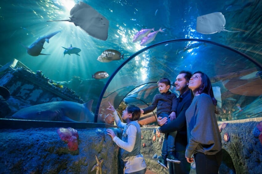 Gardaland Sea Life Aquarium
